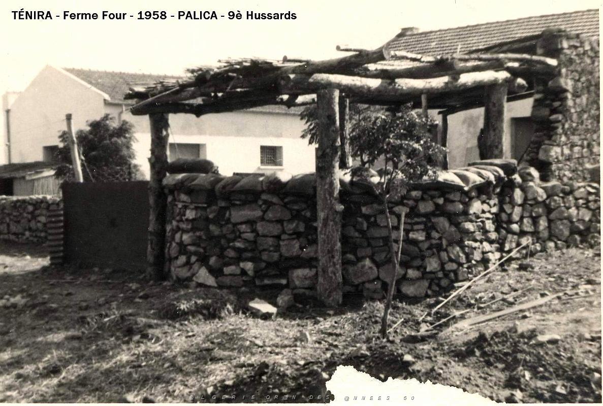 Palica - B- Tenira 040.JPG